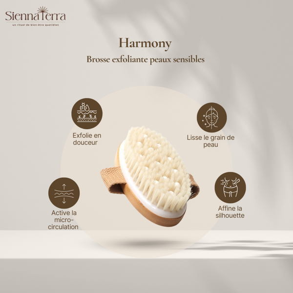 Brosse • Ultra-Douce Harmony